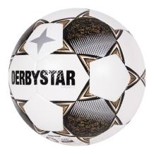 Derbystar TT Classic Gold